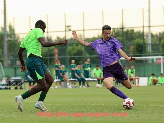 爱体育app-英超全场最佳球员奖杯设计、评选规则及获奖记录